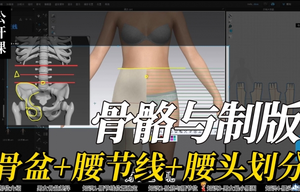 3.骨盆对人体和制版的影响