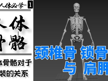 1.脊柱区域-第七脊椎骨-锁骨-肩胛骨对于体型和服装结构