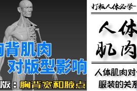 7.胸背肌肉对版型影响，腋省的位置和无袖款的袖笼深