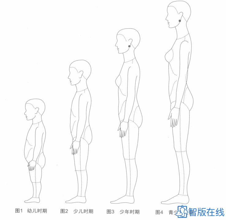 01.了解童装与儿童体型特征