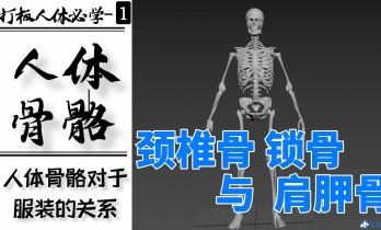 1.脊柱区域-第七脊椎骨-锁骨-肩胛骨对于体型和服装结构