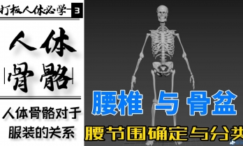 3.骨盆对人体和制版的影响